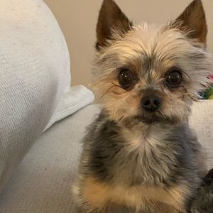 Meet your Posher, Valerie